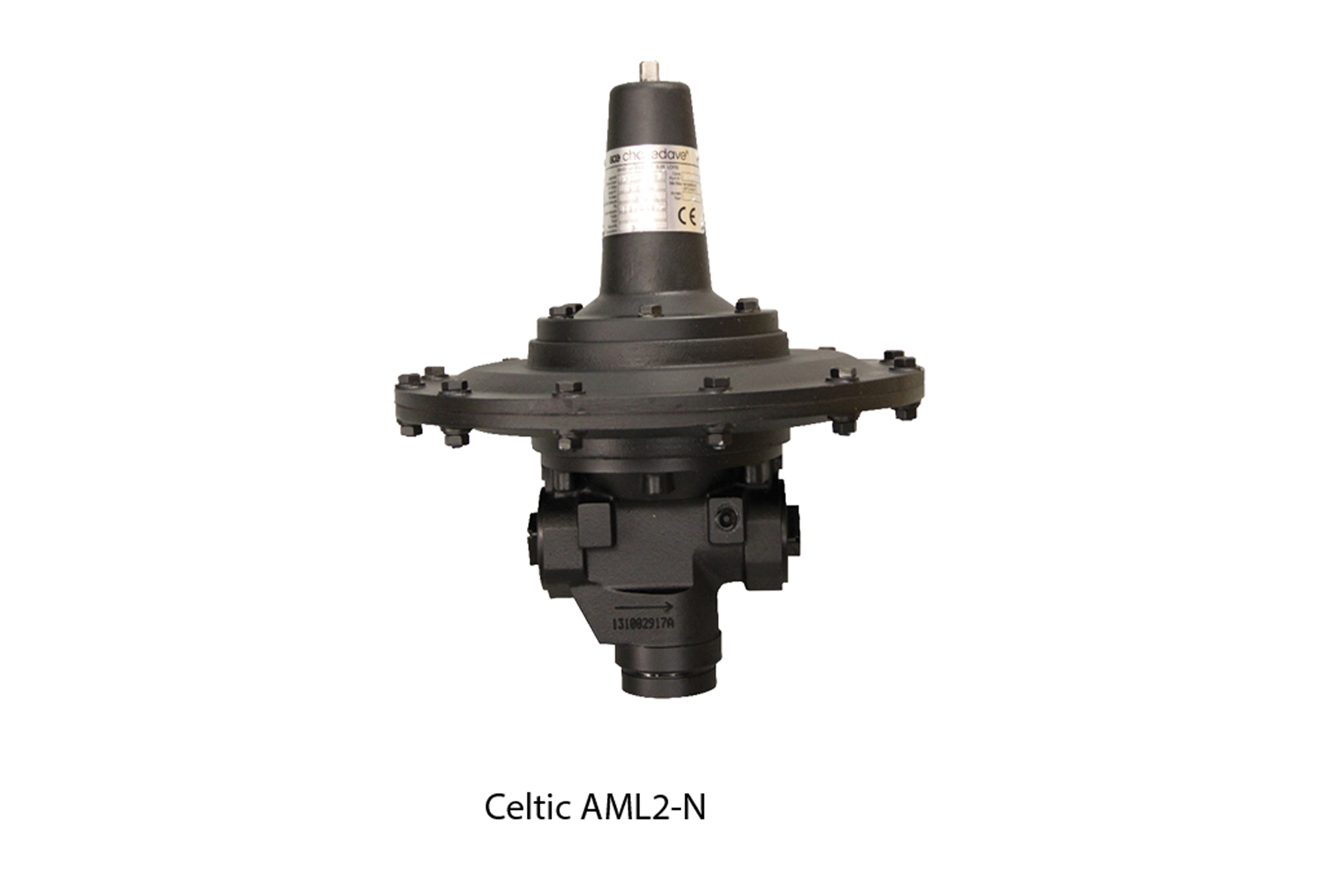 CELTIC AML2 - DIRECT REGULATORS (SECOND STAGE REGULATOR) page image